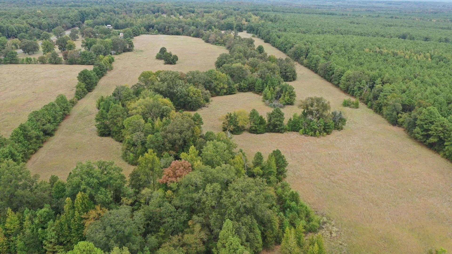 57.61 acres in Marion County - photo 5