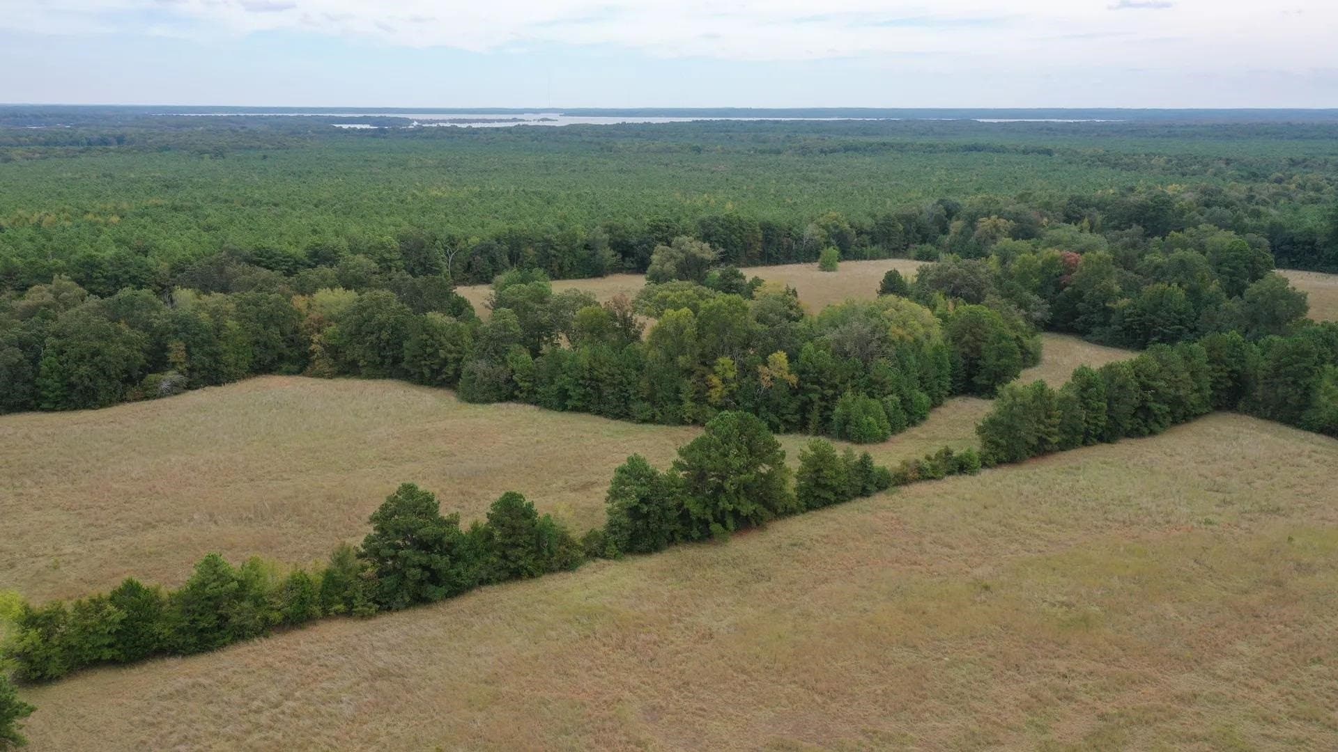 57.61 acres in Marion County - photo 4