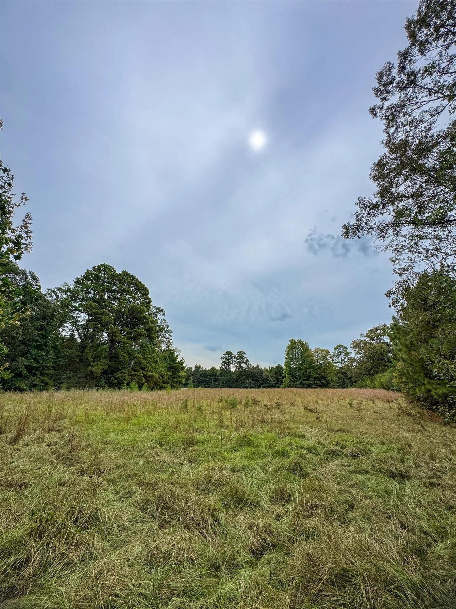 57.61 acres in Marion County - photo 13