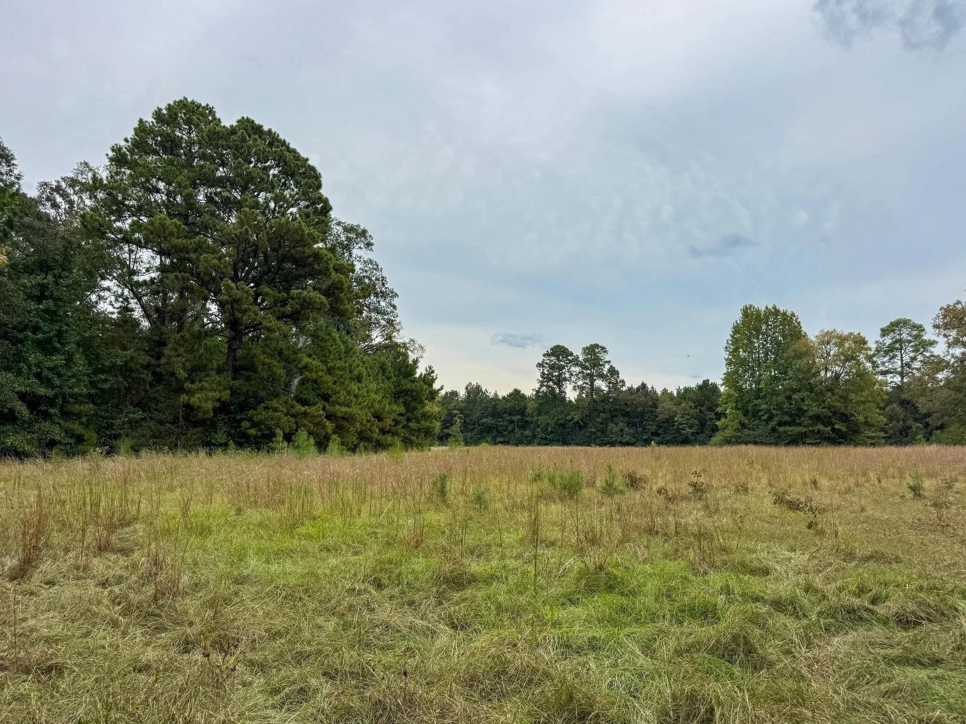 57.61 acres in Marion County - photo 10