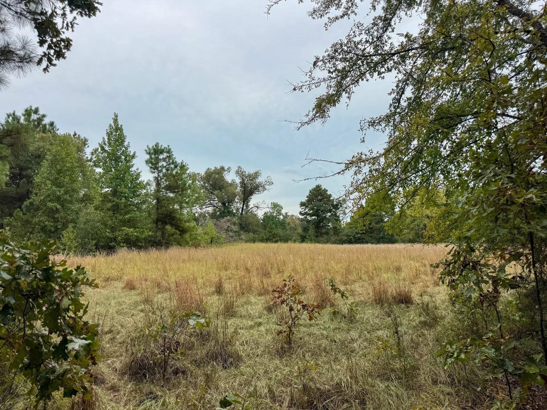 57.61 acres in Marion County - photo 21