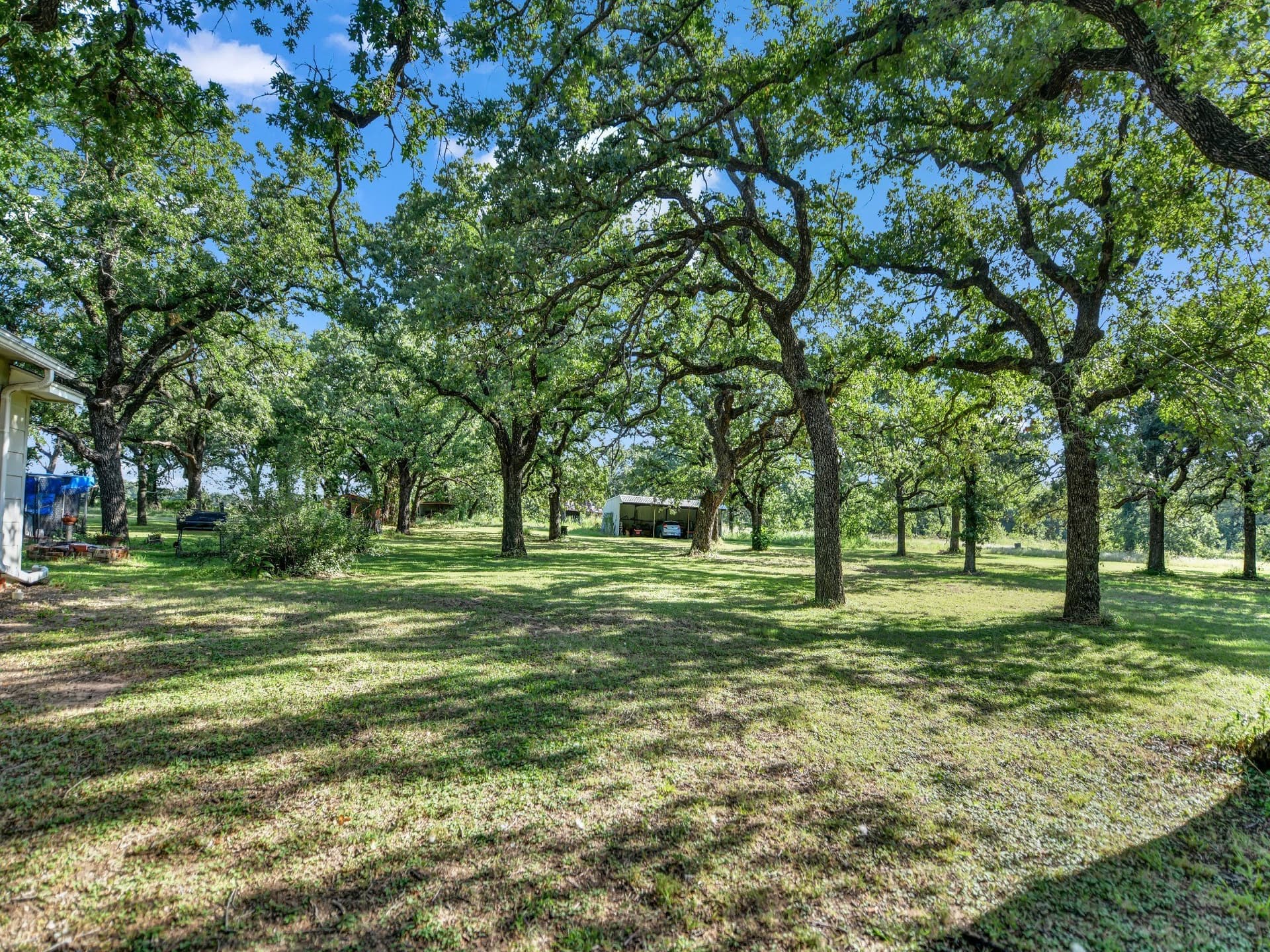 20 acres in Parker County gallery image 4