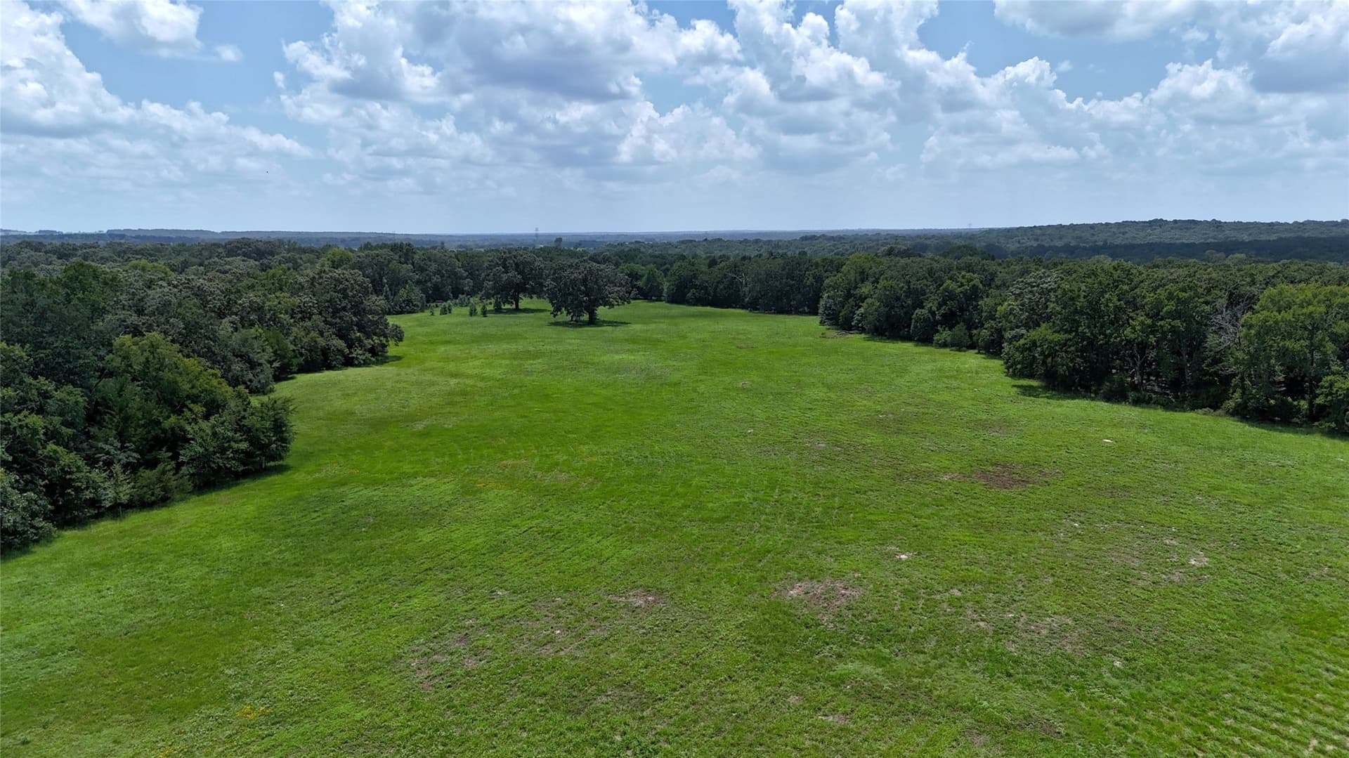 66.2 acres in Henderson County - photo 7