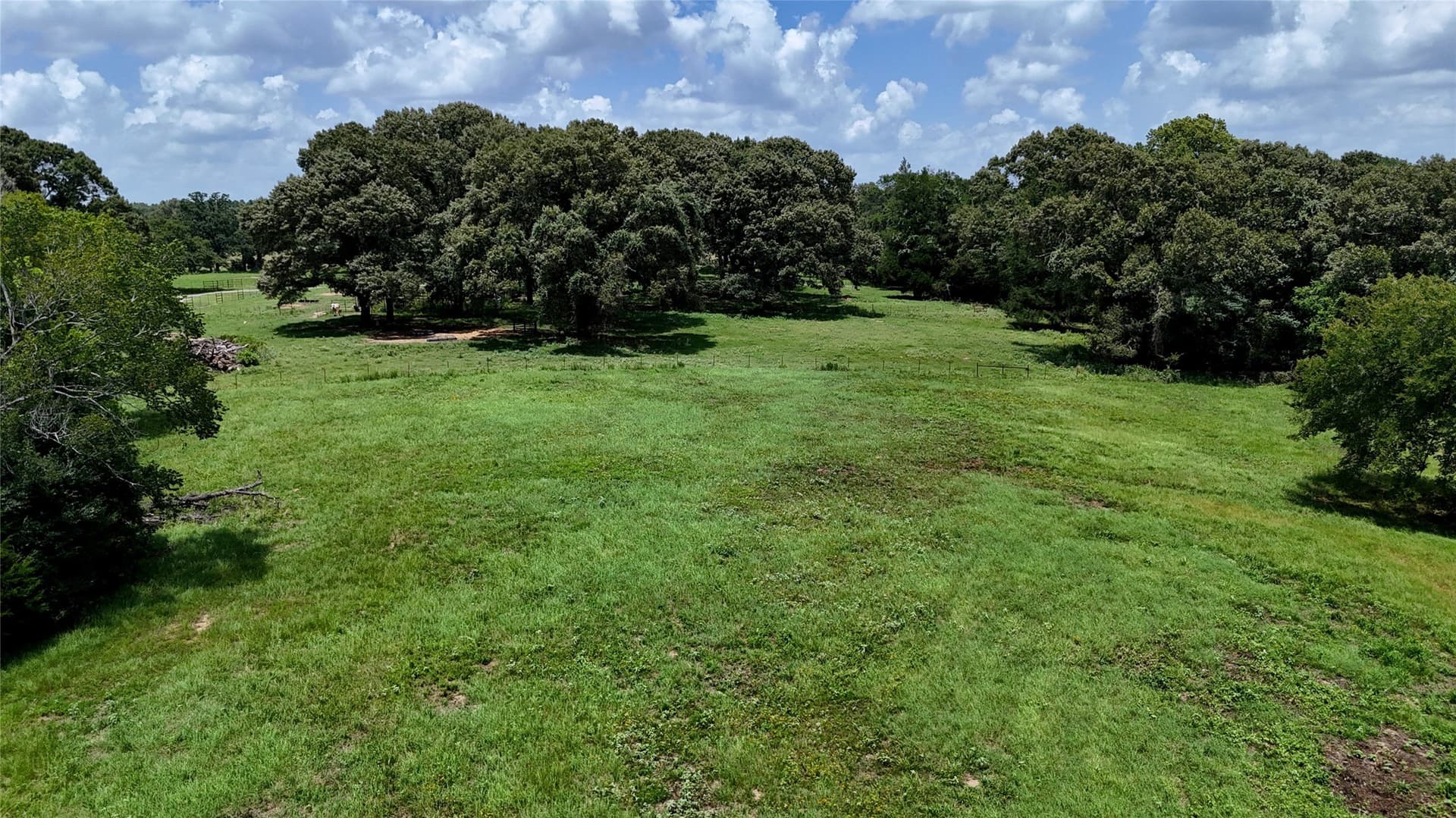 66.2 acres in Henderson County - photo 12