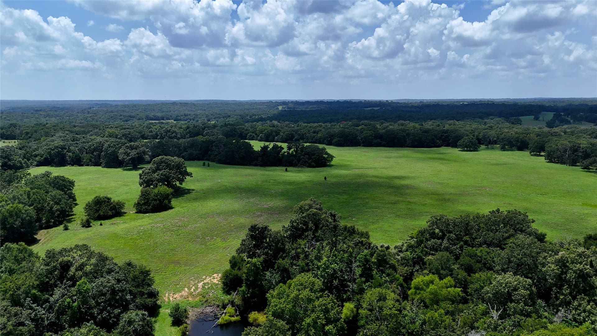 66.2 acres in Henderson County - photo 10