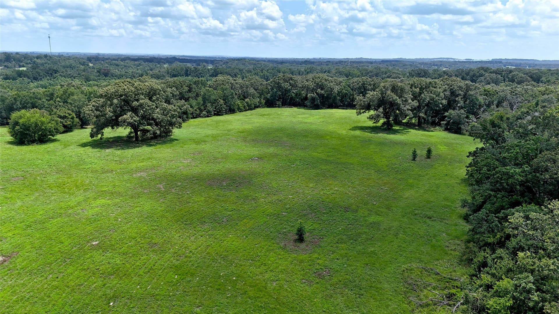 66.2 acres in Henderson County - photo 9