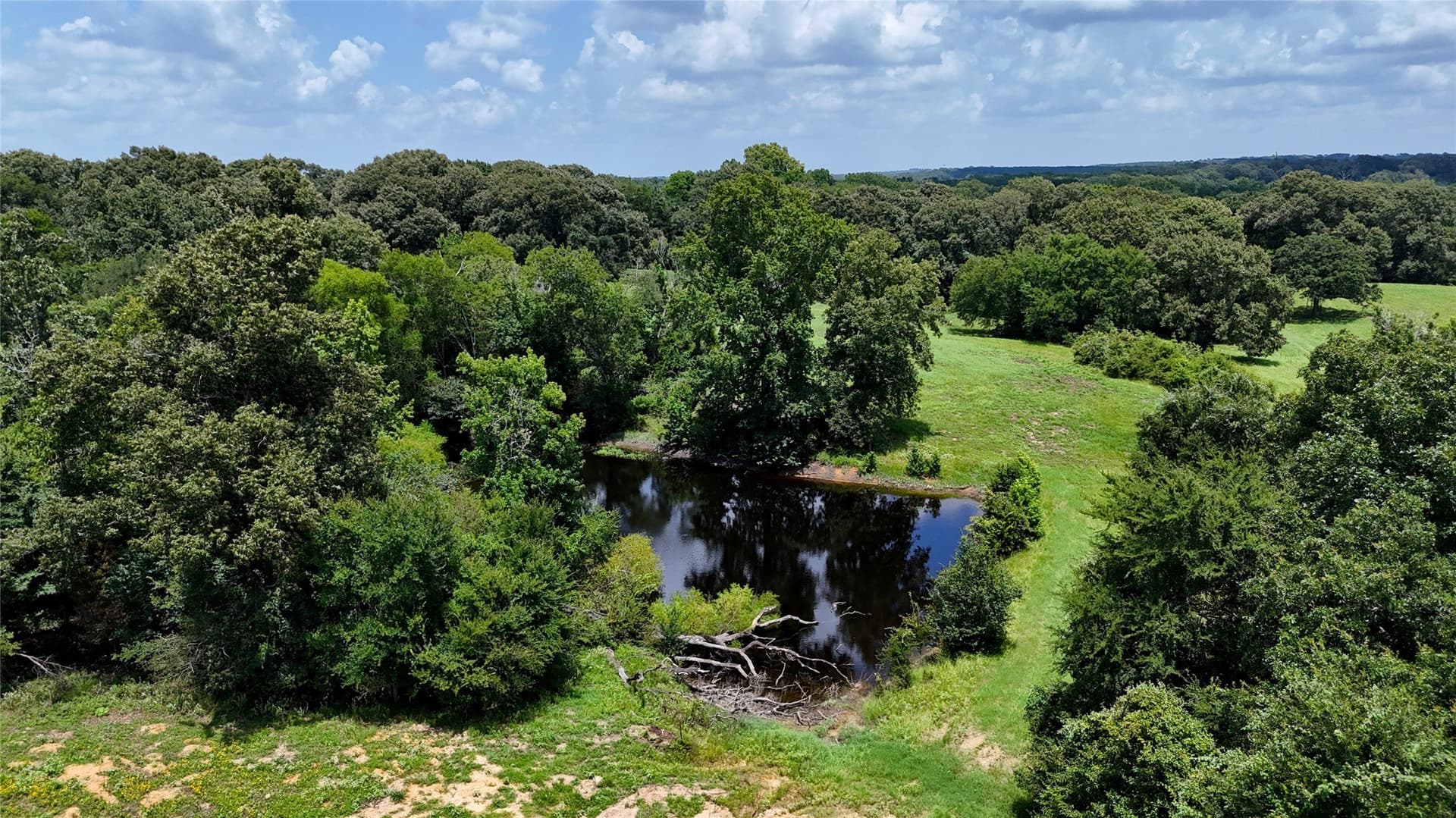 66.2 acres in Henderson County - photo 5