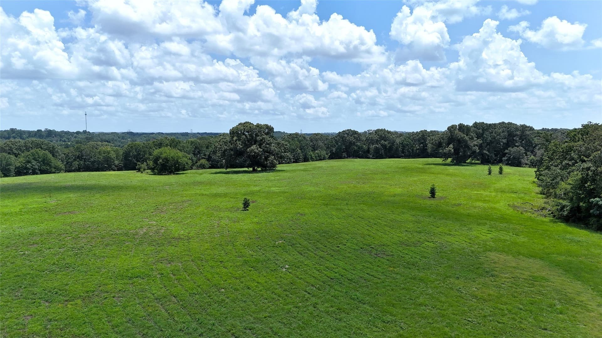 66.2 acres in Henderson County - photo 11