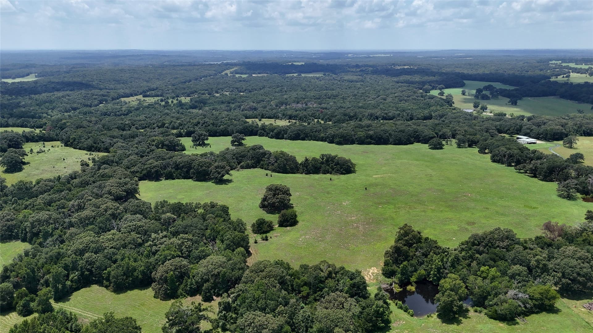 66.2 acres in Henderson County - photo 4