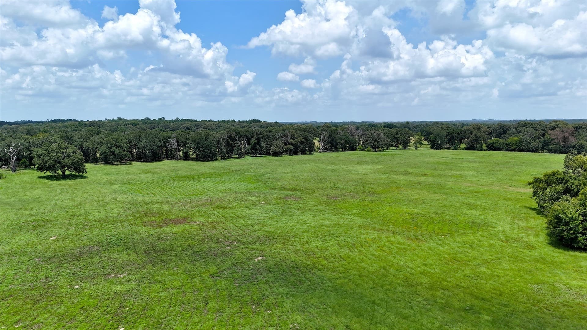 66.2 acres in Henderson County