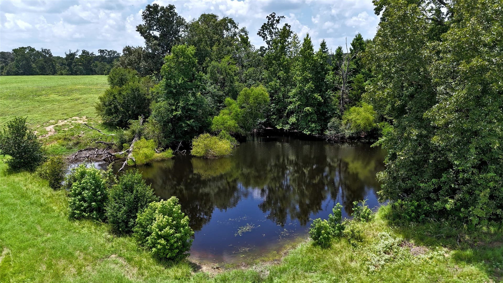 66.2 acres in Henderson County - photo 6