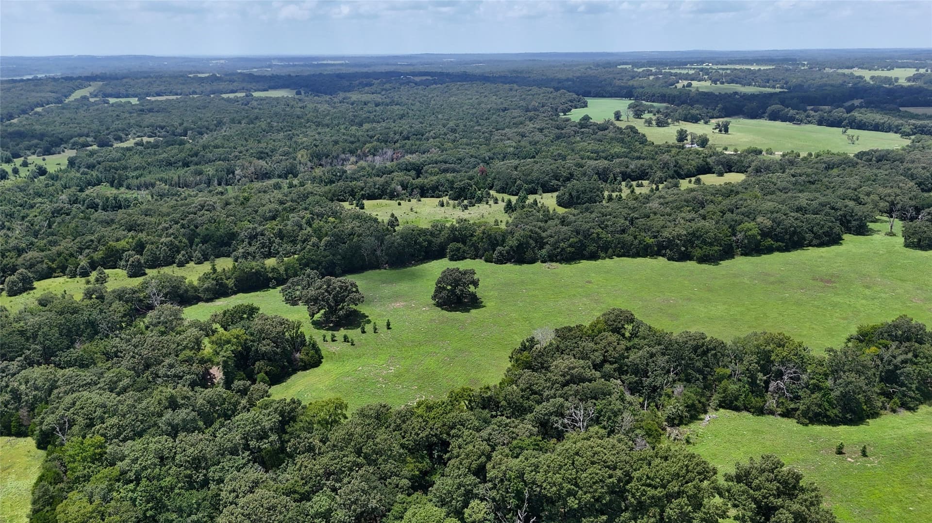66.2 acres in Henderson County - photo 8