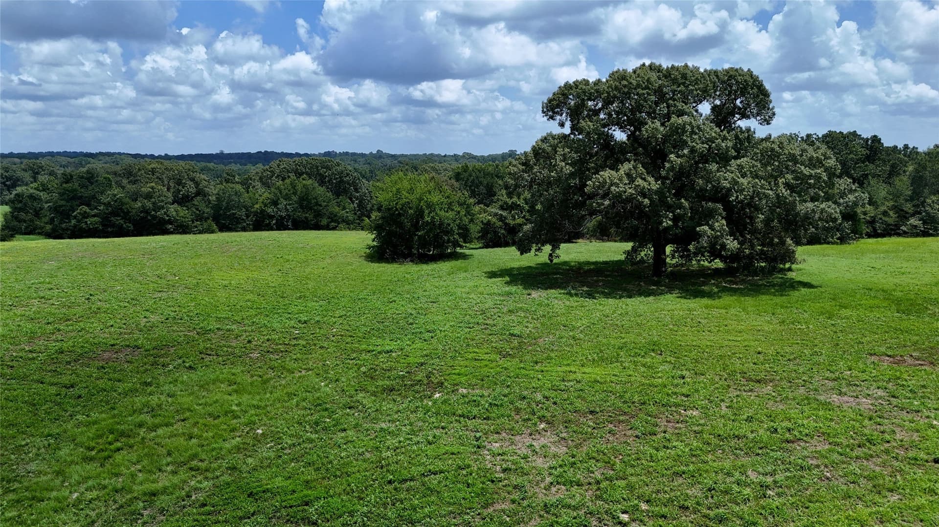 66.2 acres in Henderson County - photo 13
