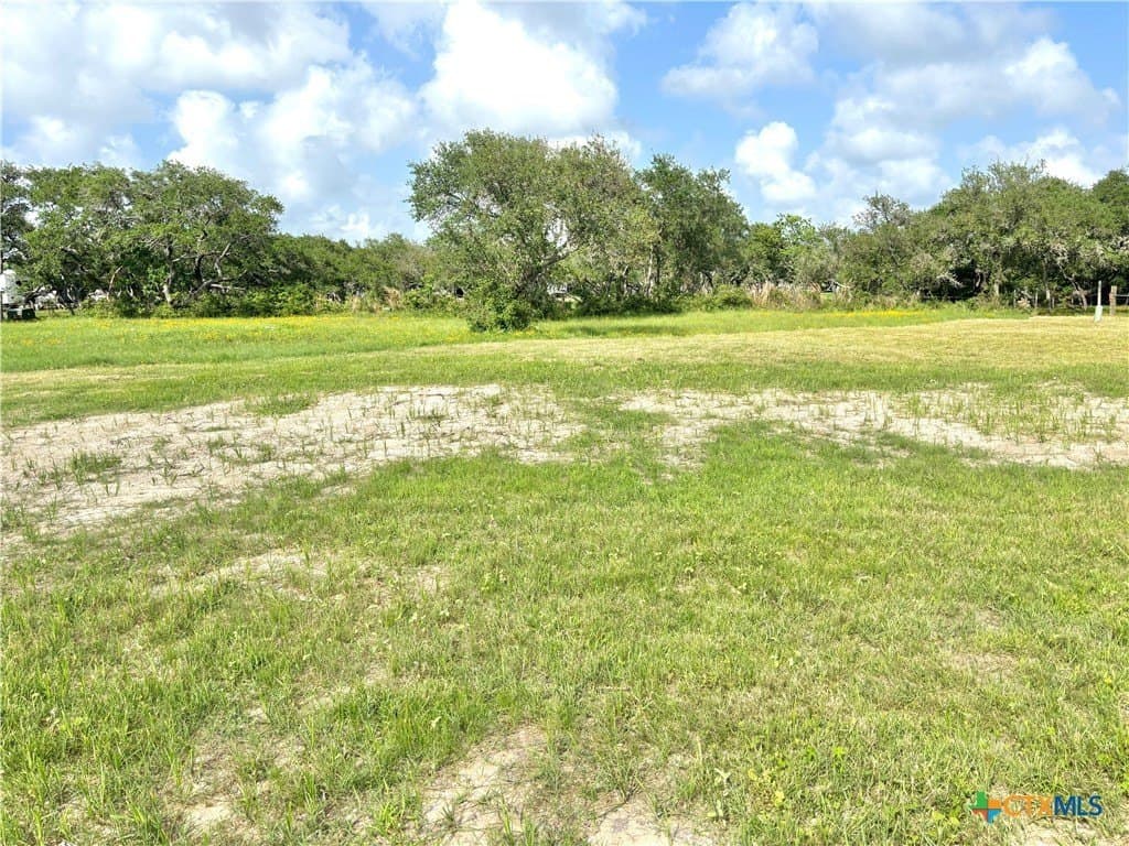 0.17 acres in Calhoun County - photo 9