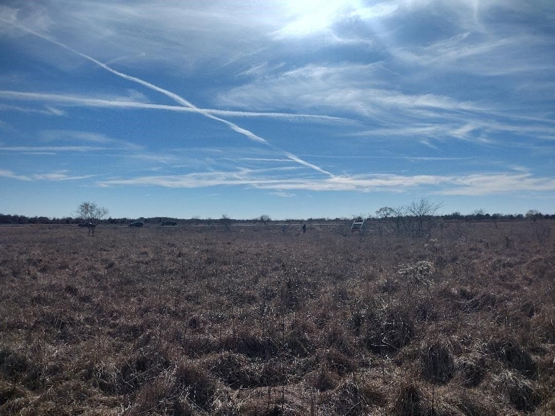 5.01 acres in Van Zandt County - photo 5