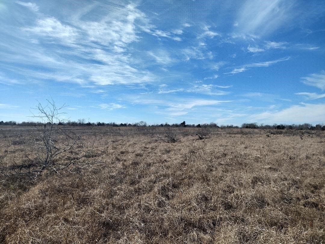5.01 acres in Van Zandt County - photo 3