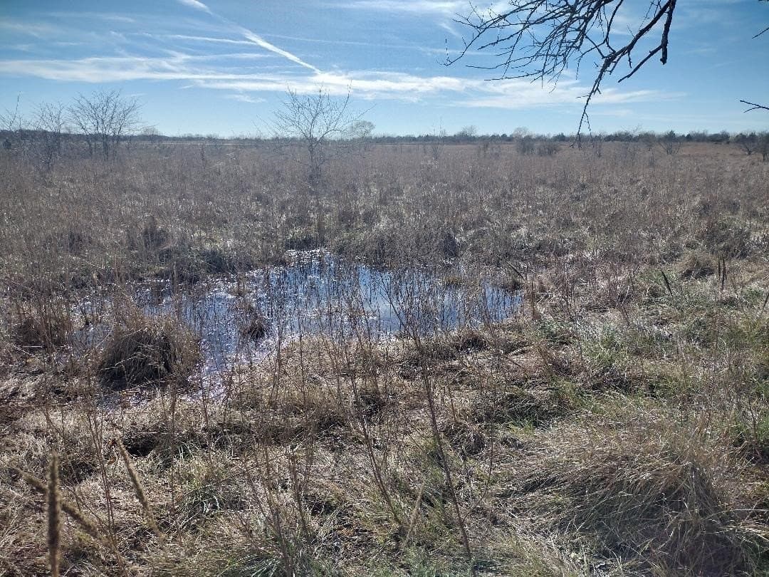 5.01 acres in Van Zandt County - photo 12