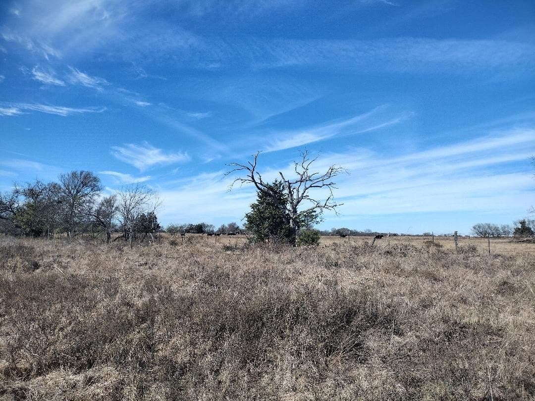 5.01 acres in Van Zandt County - photo 9