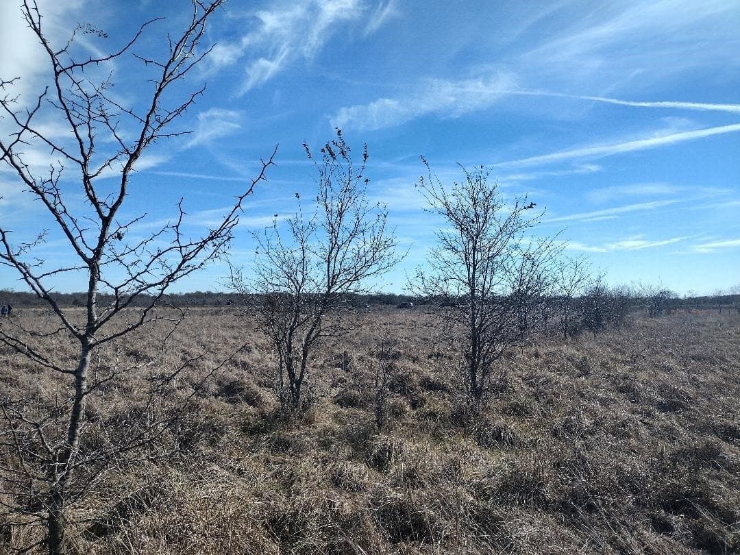 5.01 acres in Van Zandt County - photo 8