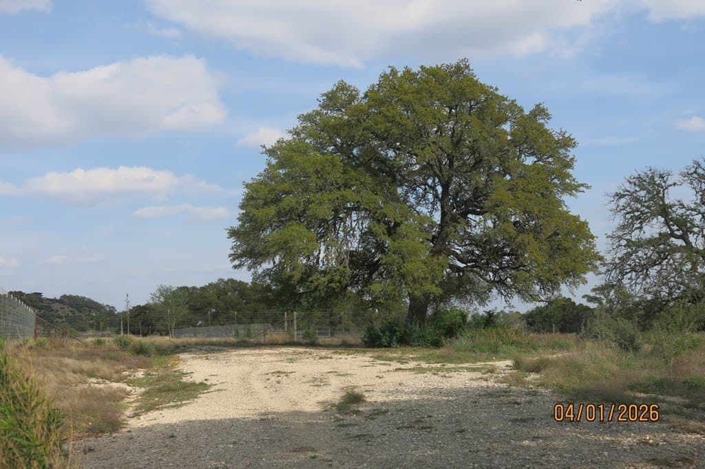 17 acres in Gillespie County - photo 6
