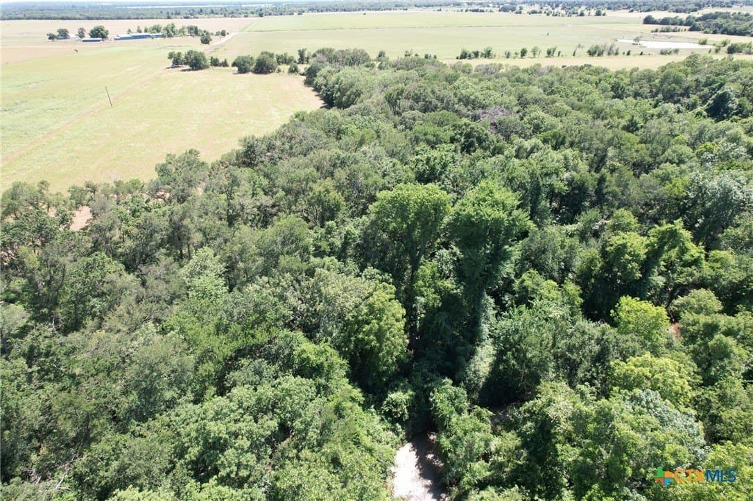 30.76 acres in Milam County - photo 14