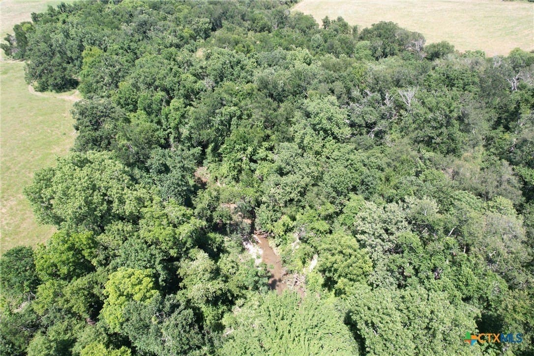 30.76 acres in Milam County - photo 7