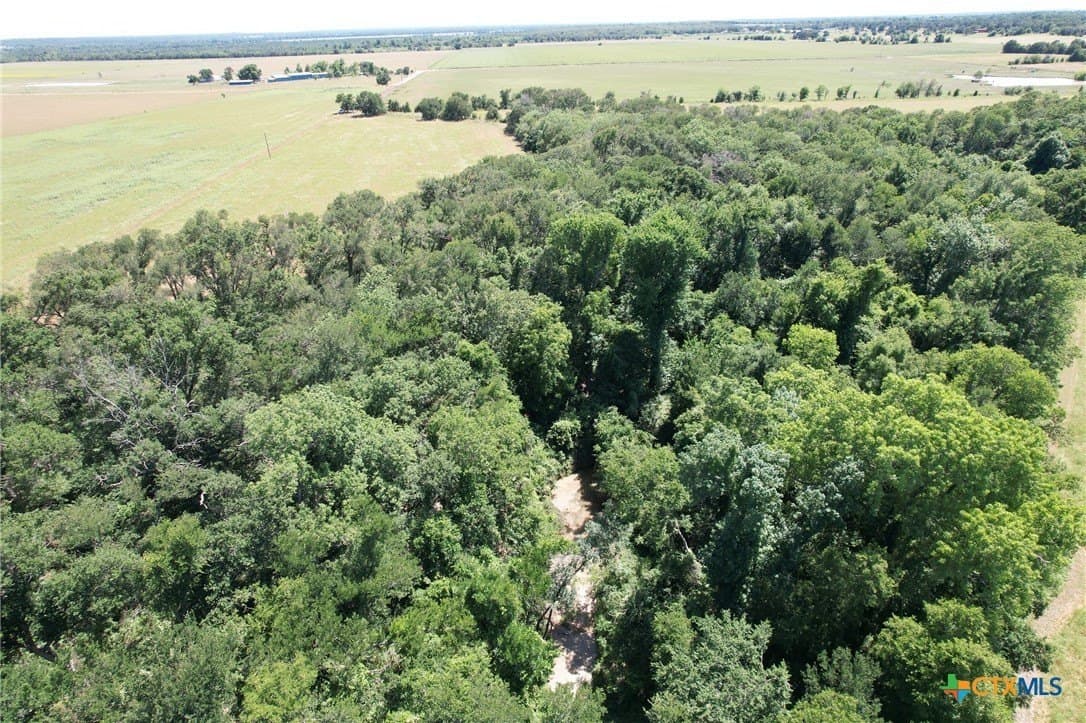 30.76 acres in Milam County - photo 8