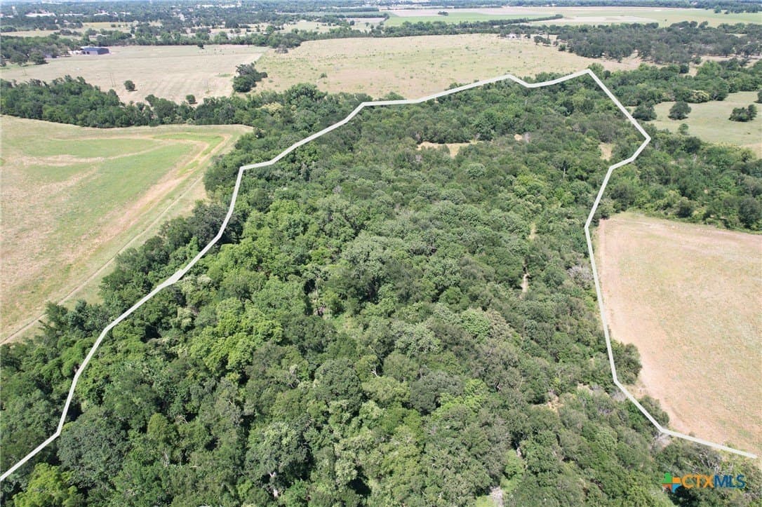 30.76 acres in Milam County gallery image 4