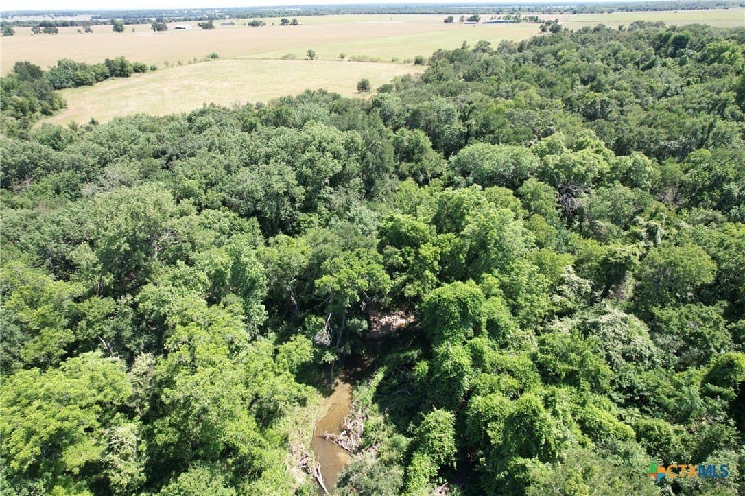 30.76 acres in Milam County - photo 13