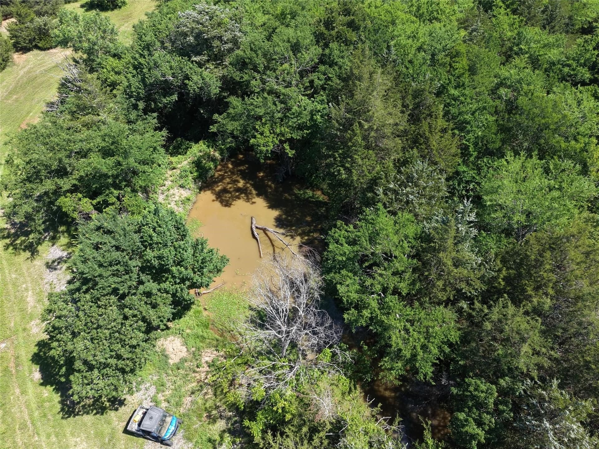 12 acres in Fannin County - photo 11