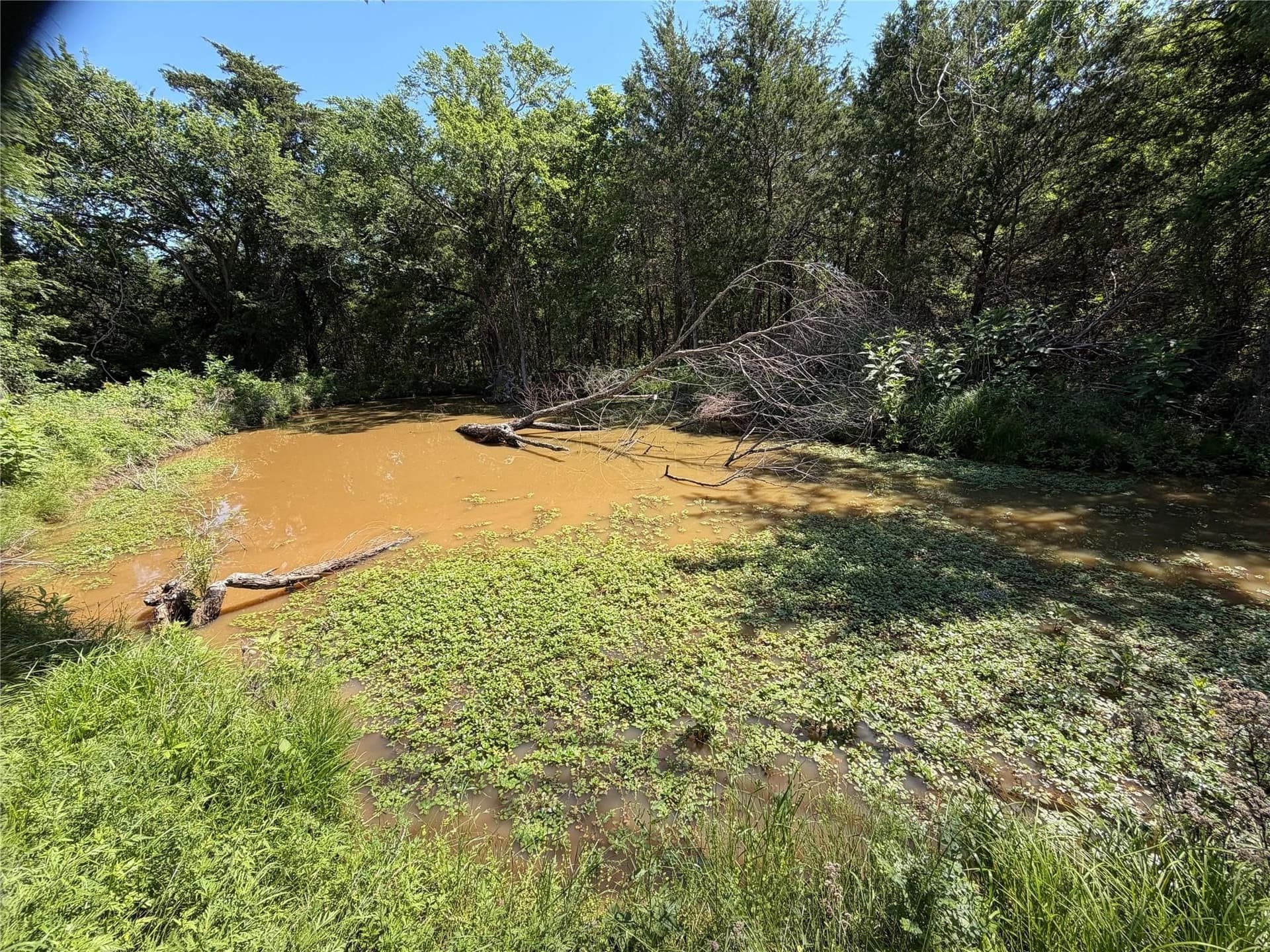 12 acres in Fannin County - photo 10