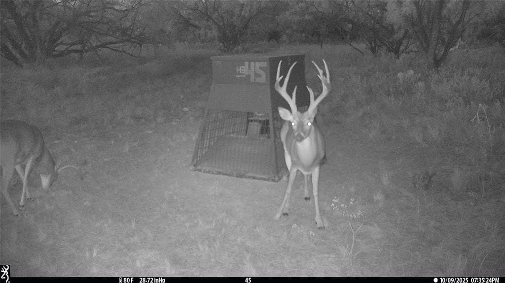147.05 acres in Stephens County