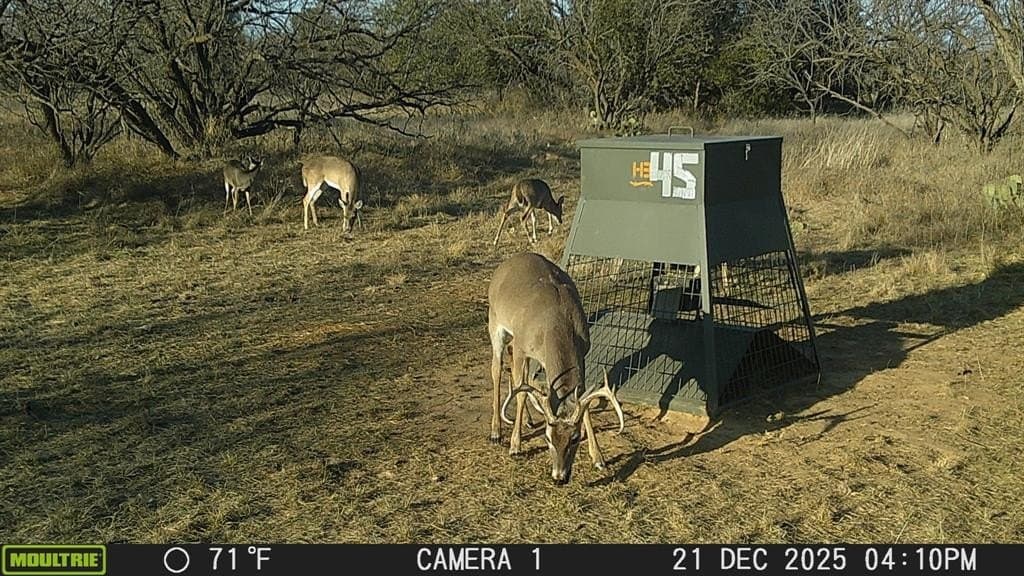 147.05 acres in Stephens County featured view