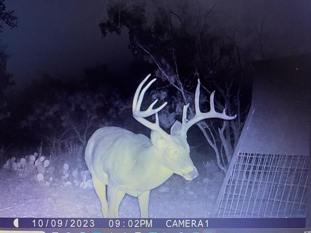 147.05 acres in Stephens County gallery image 2