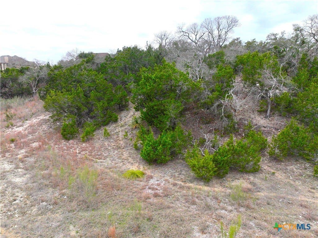 1.01 acres in Comal County gallery image 3