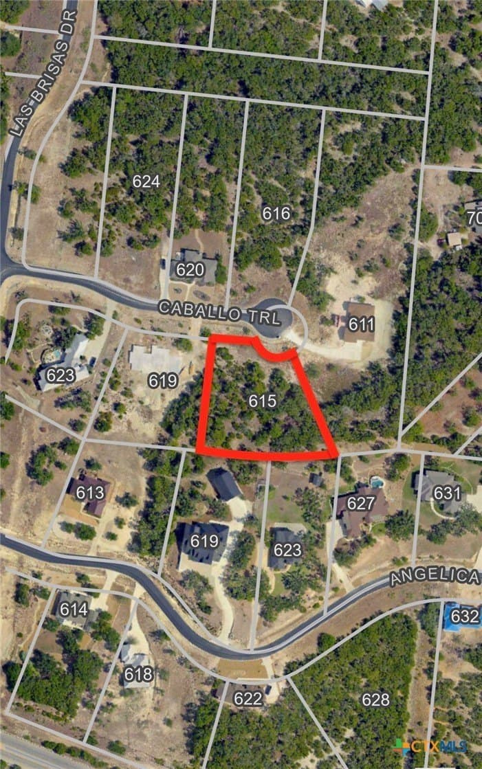 1.01 acres in Comal County - photo 20