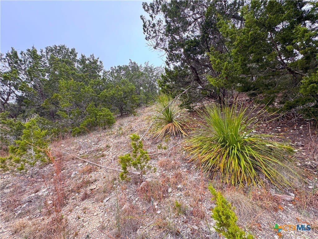 1.01 acres in Comal County - photo 14