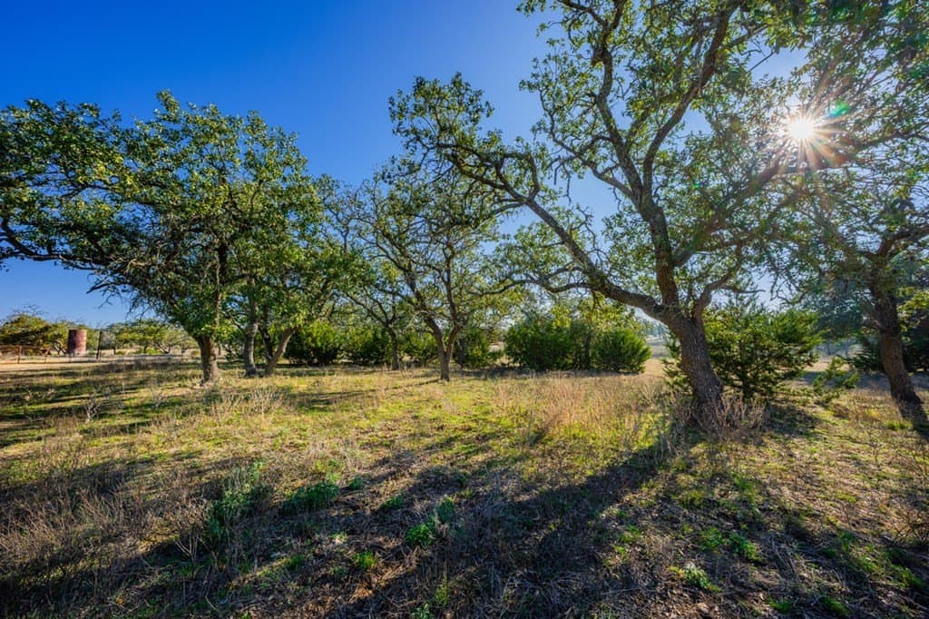 19.9 acres in Kerr County - photo 19