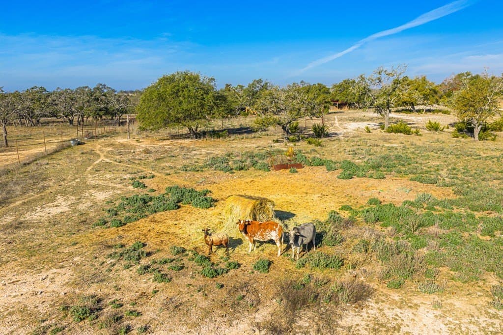 19.9 acres in Kerr County - photo 12