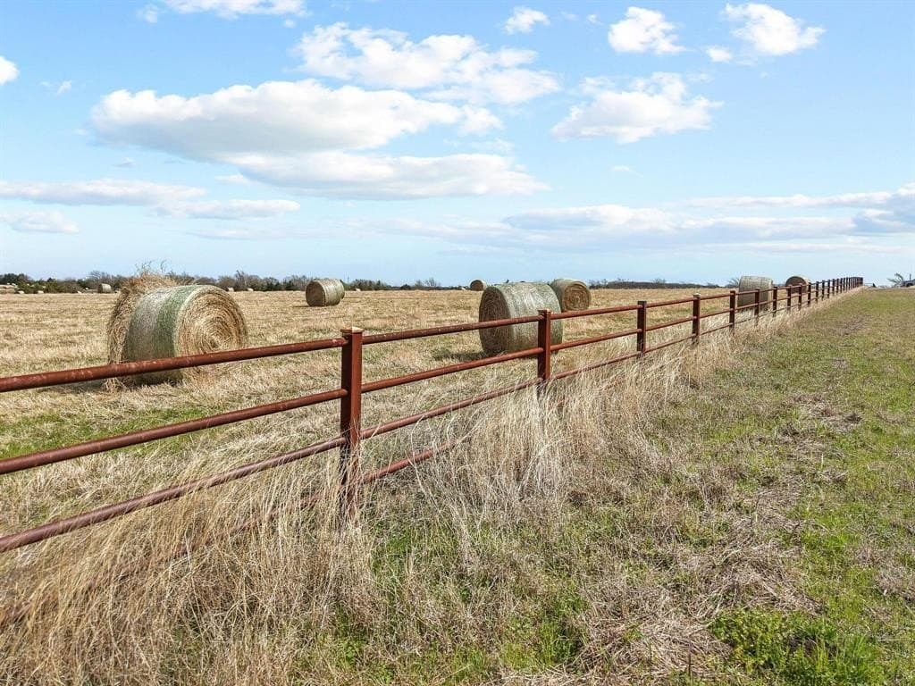 77.03 acres in Grayson County gallery image 3
