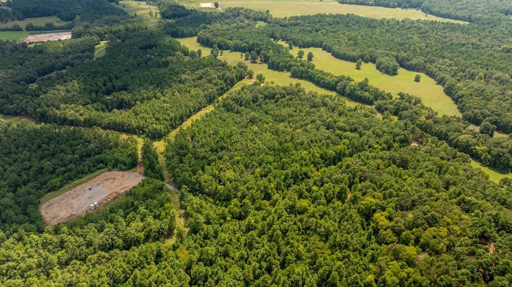 15.38 acres in Texas County featured view