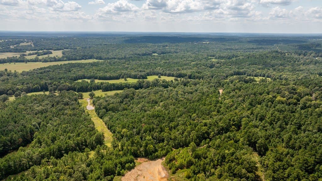 15.38 acres in Texas County gallery image 4