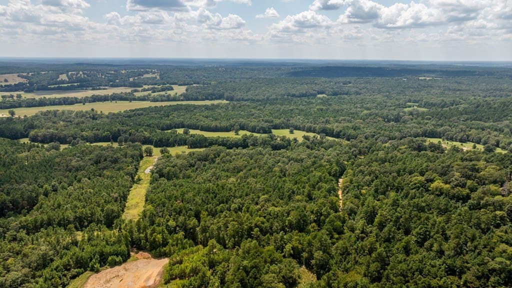 15.38 acres in Texas County gallery image 3