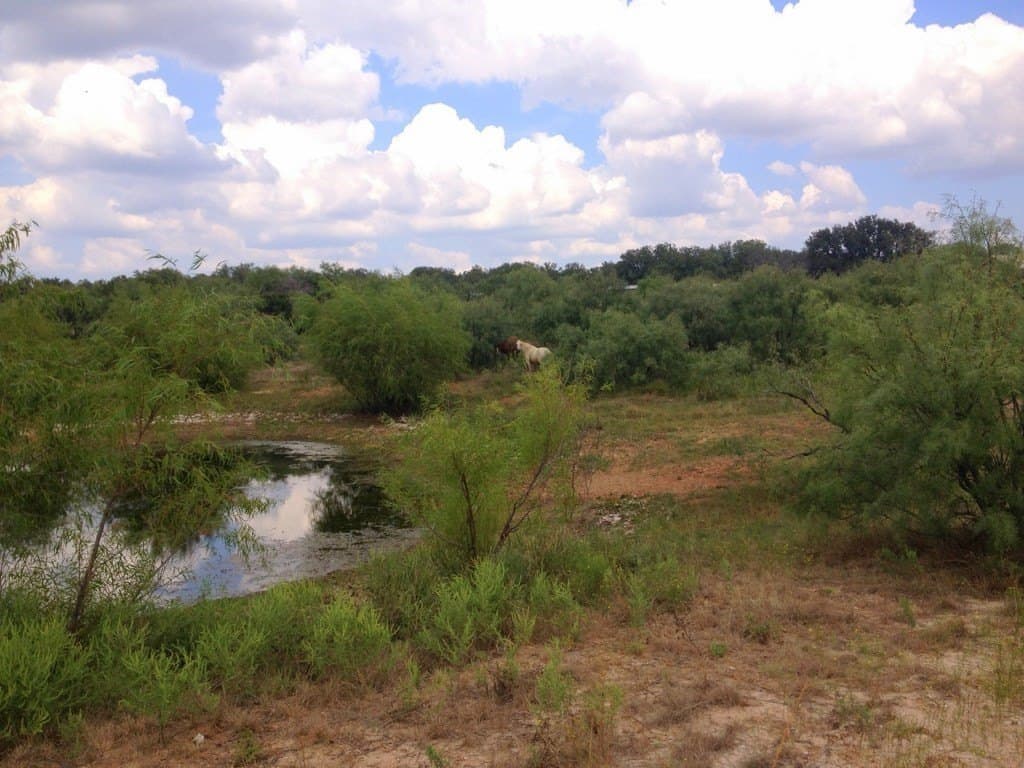 15.64 acres in Callahan County - photo 37