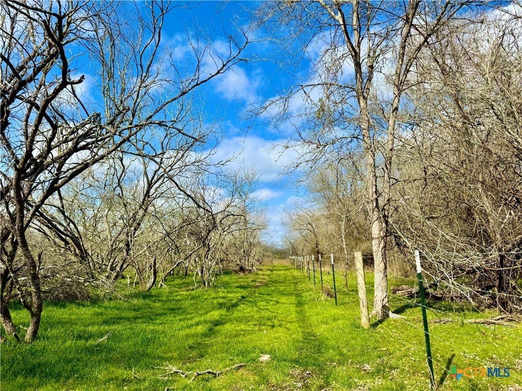 10.18 acres in Gonzales County featured view