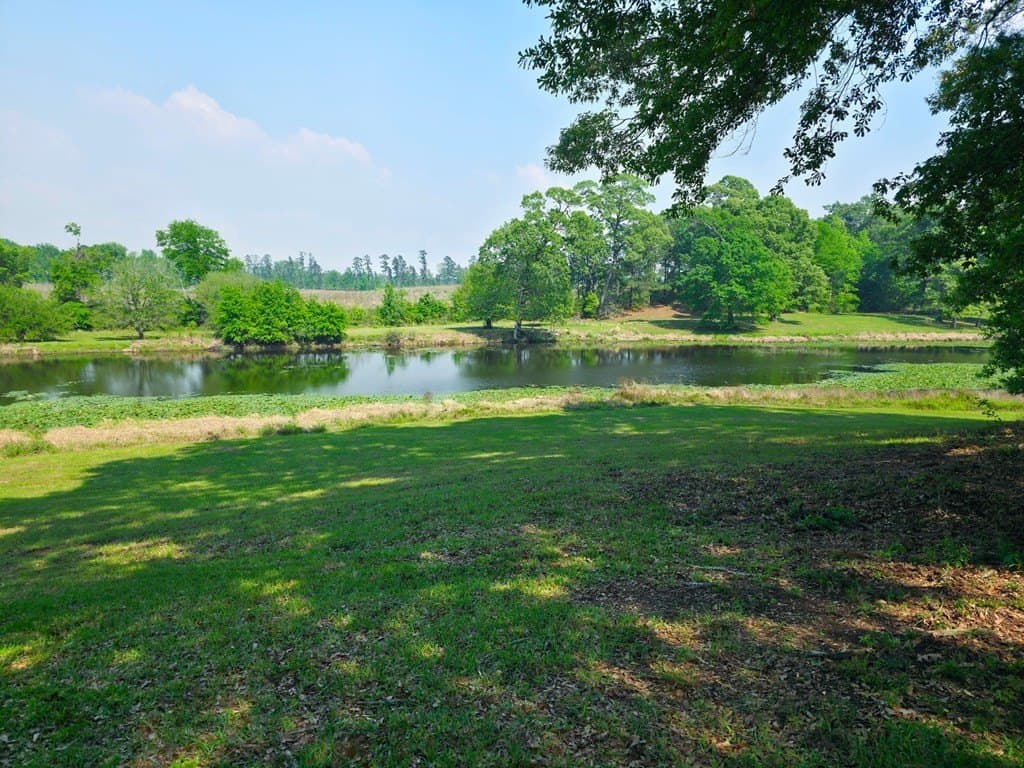 15.47 acres in Texas County gallery image 3