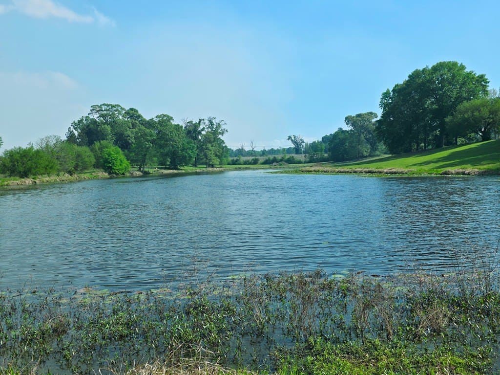 15.47 acres in Texas County gallery image 4