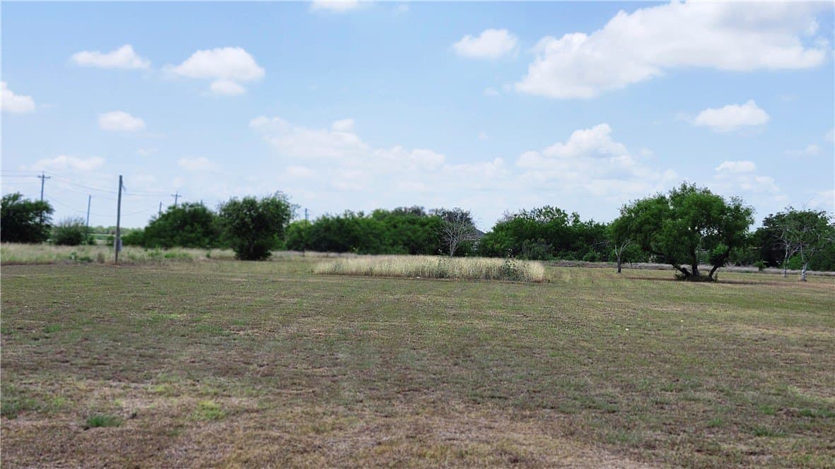 1 acres in Jim Wells County gallery image 2