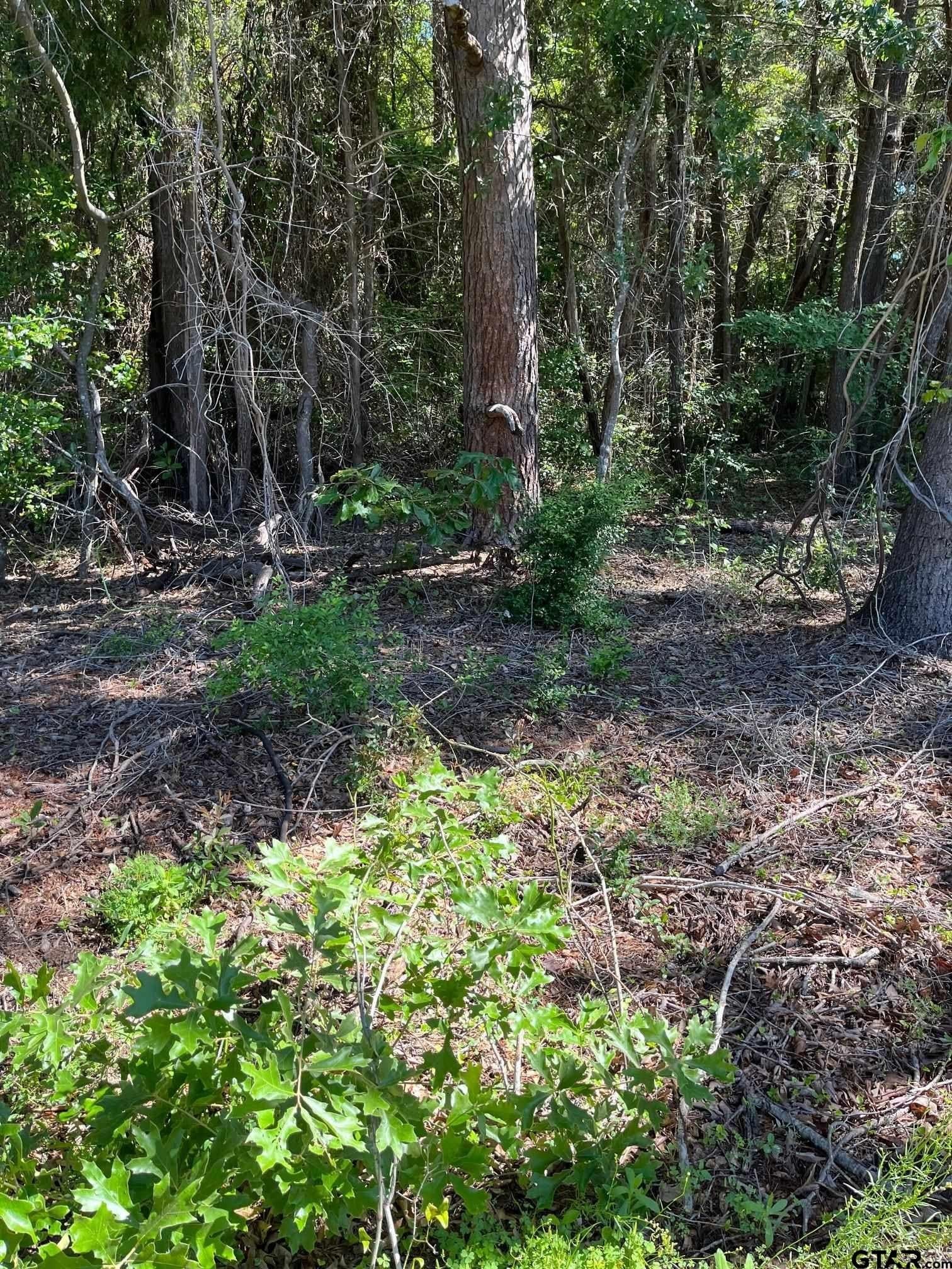 14.97 acres in Wood County gallery image 3
