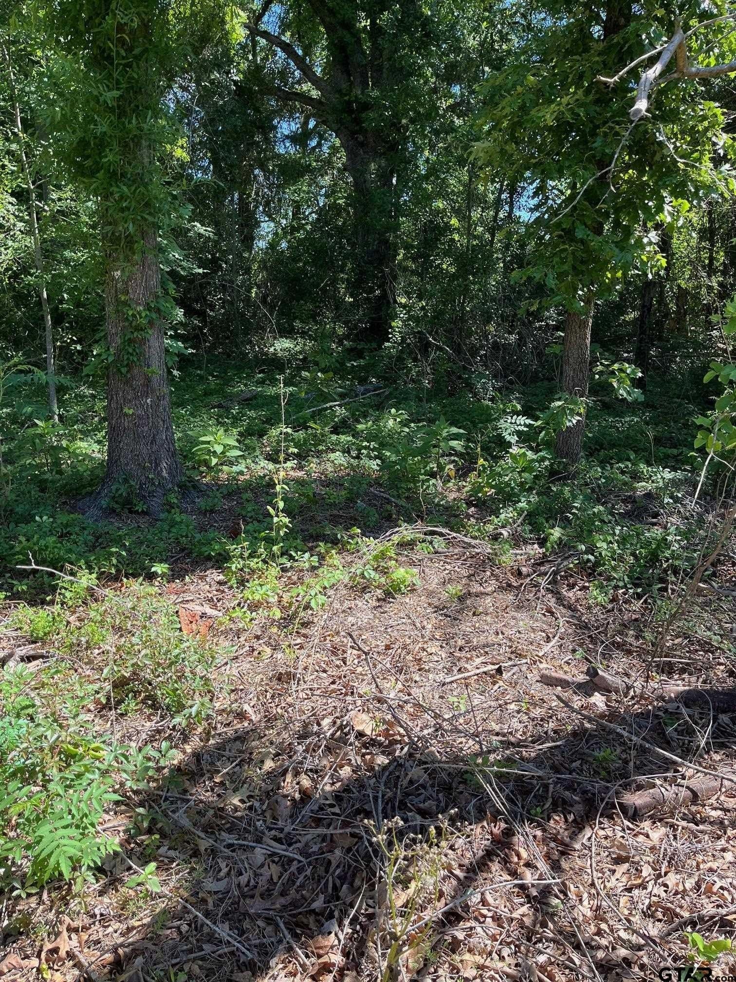 14.97 acres in Wood County gallery image 2